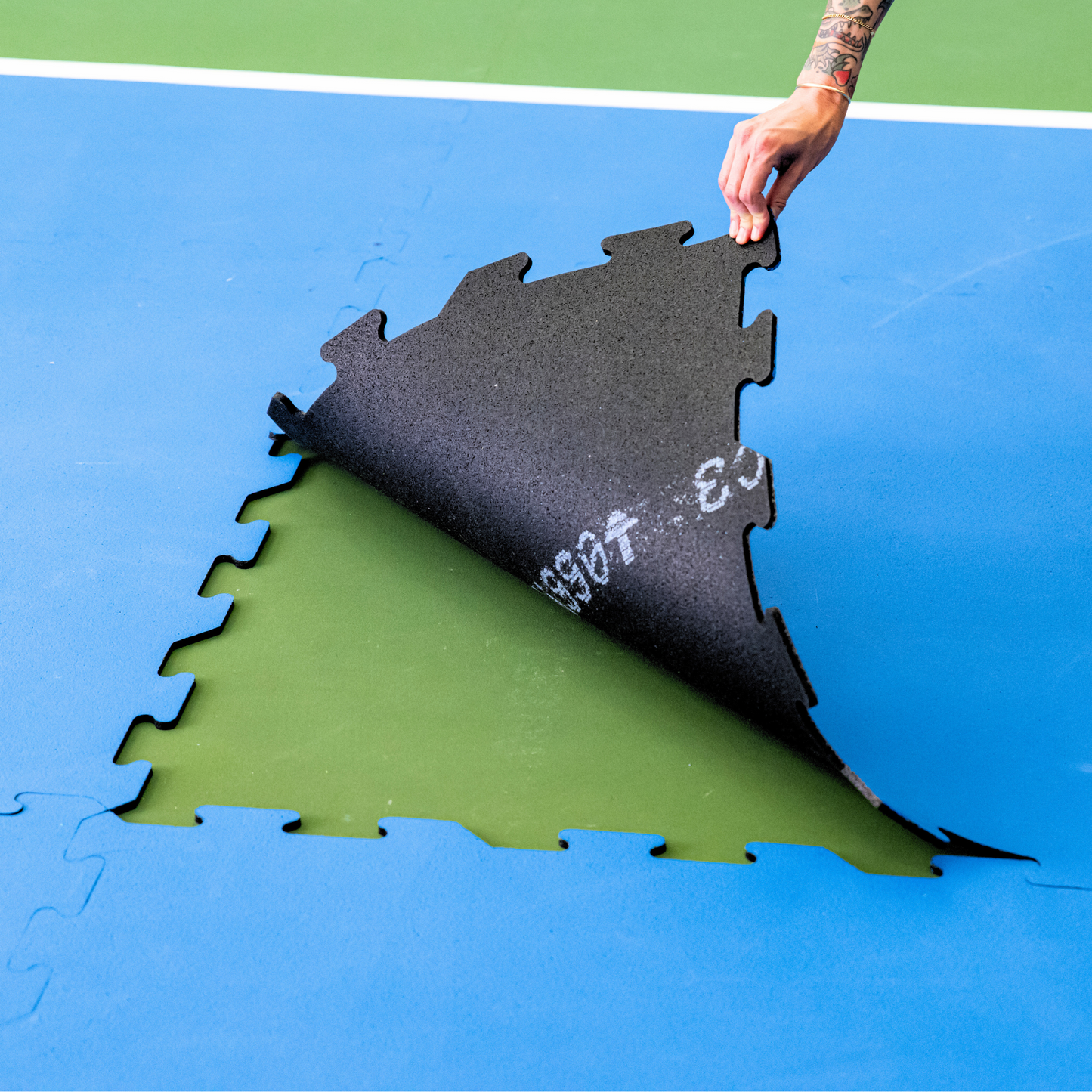 Pickle Flex Pro Pickleball Court