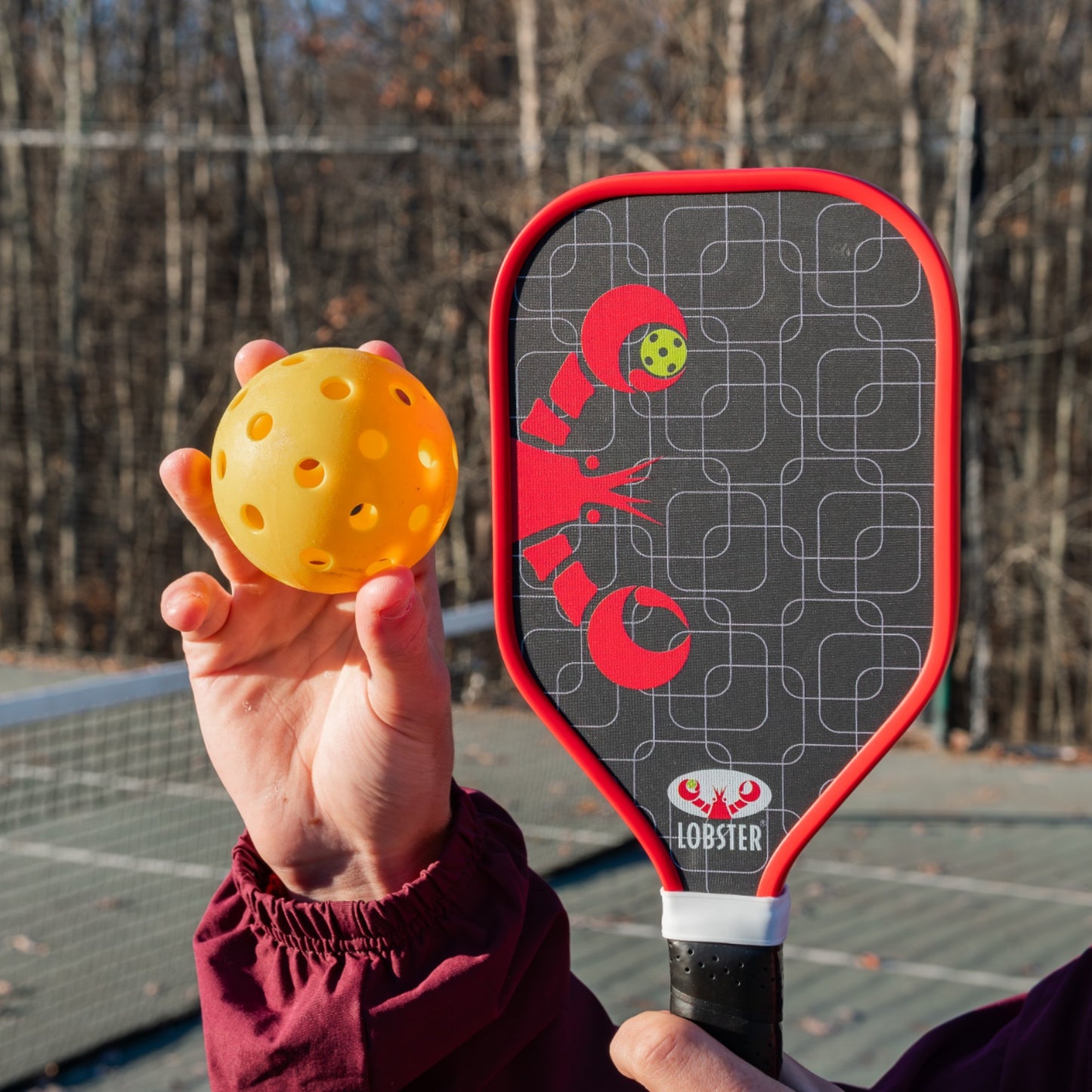 Pickleball Training Paddle