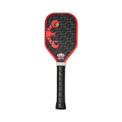 Pickleball Training Paddle